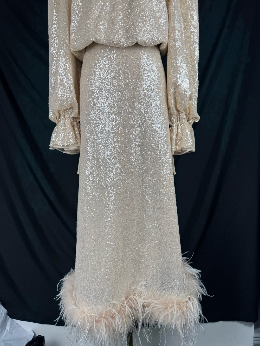 Antonio Melani Nicola Bathie Sequin Feather Trim Maxi Skirt Set Champagne - Picture 12 of 16
